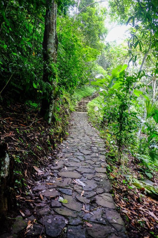 Shimiyacu Amazon Lodge Tarapoto Ngoại thất bức ảnh