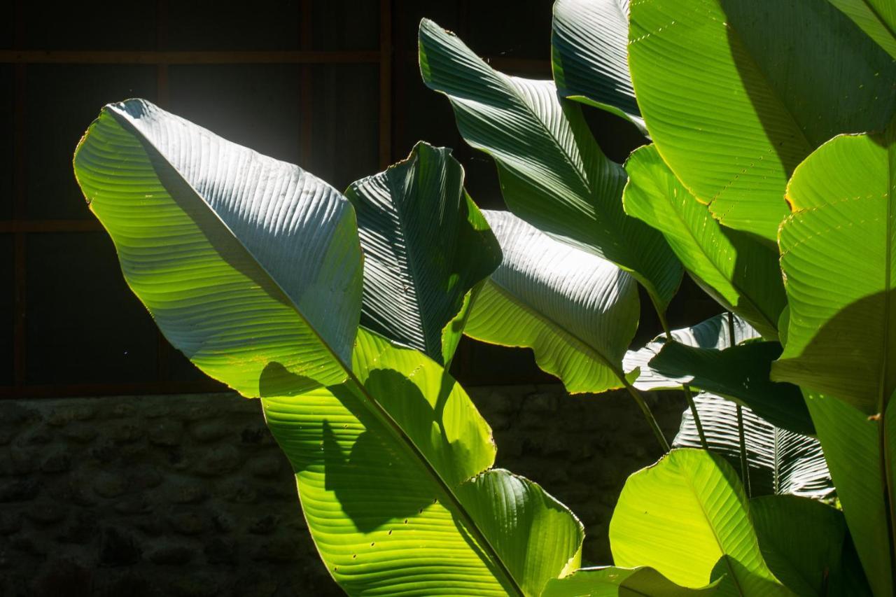 Shimiyacu Amazon Lodge Tarapoto Ngoại thất bức ảnh