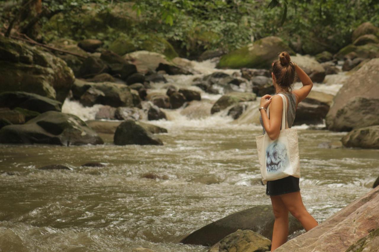 Shimiyacu Amazon Lodge Tarapoto Ngoại thất bức ảnh