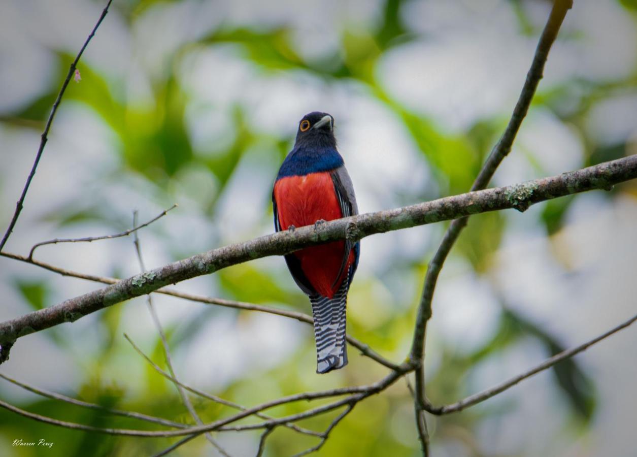 Shimiyacu Amazon Lodge Tarapoto Ngoại thất bức ảnh